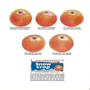 1963 Snow Crop Orange Juice Species Names Vintage Magazine Print Ad/Poster